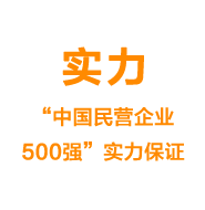 實力——“中國民營企業(yè)500強”實力保證